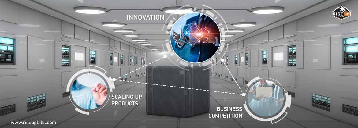 What are R&D Services?