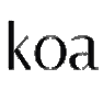 Koa.js Icon