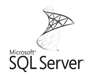 Microsoft SQL Server Icon