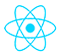 React.JS icon