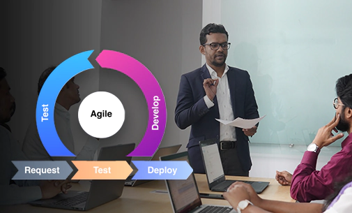 Agile Engagement Model for Project Development